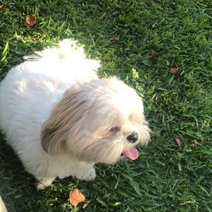 Meet your Posher, Melanie